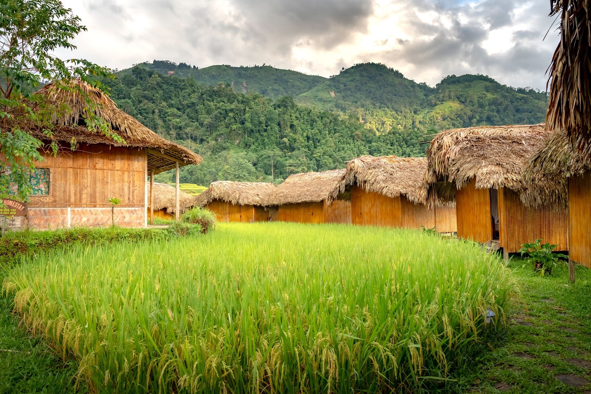 つくば郊外の屋根と青空。屋根の修理費用相場を考える風景。